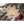 Load image into Gallery viewer, Zodiac Ornament - Leo Ornament LazerEdge 
